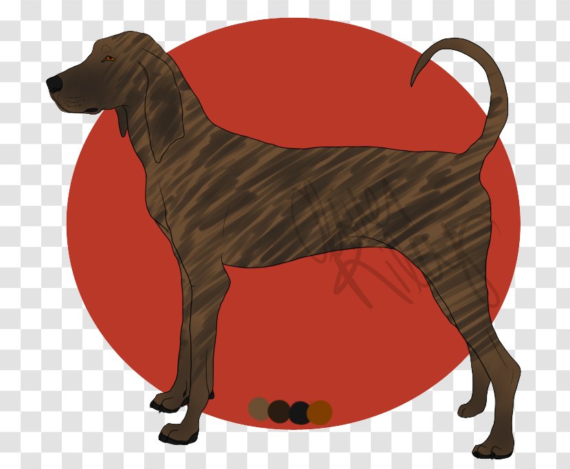 Dog Breed Plott Hound Tan Brindle Animal - Carnivoran Transparent PNG