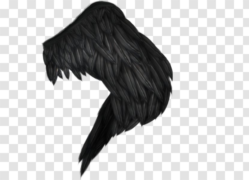 Wing Bird - Demon Transparent PNG