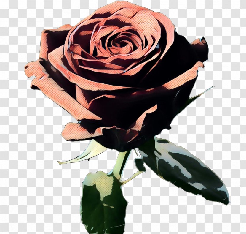 Pink Flower Cartoon - Rose Order - Plant Stem Bouquet Transparent PNG