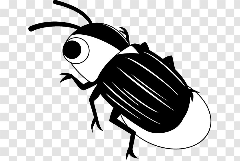 Clip Art Firefly Insect Illustration Image - Wing Transparent PNG