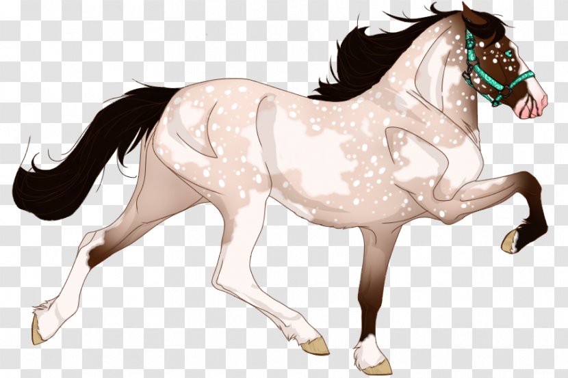 Mane Mustang Stallion Foal Pony Transparent PNG