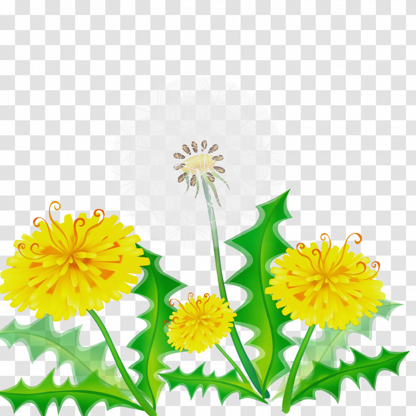 Flower Yellow Dandelion Plant Dandelion Transparent PNG