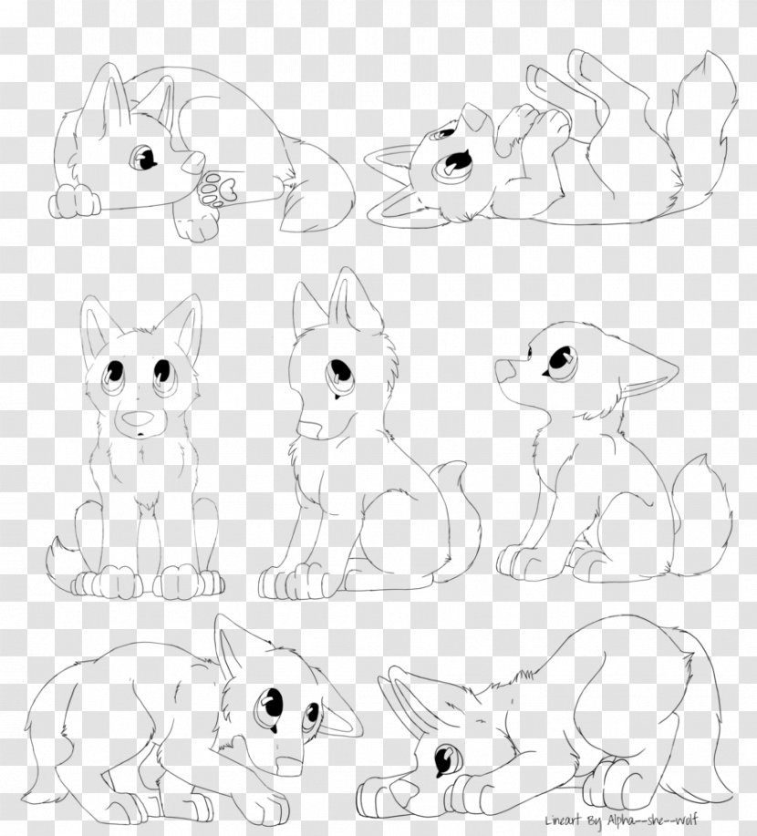 Whiskers Cat Hare Canidae Sketch - Like Mammal - Shih Tzu Dog Cartoon Transparent PNG
