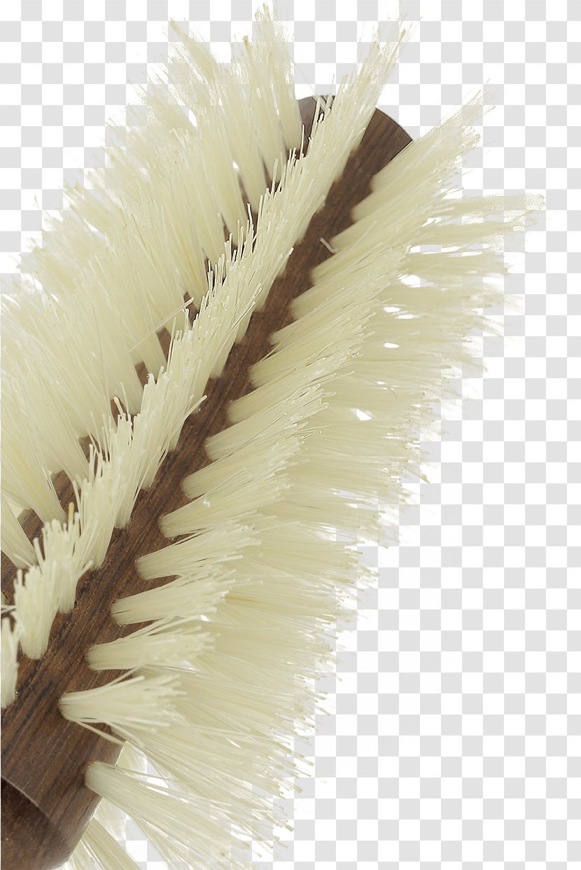 Hairbrush Wild Boar Bristle - Comb Transparent PNG