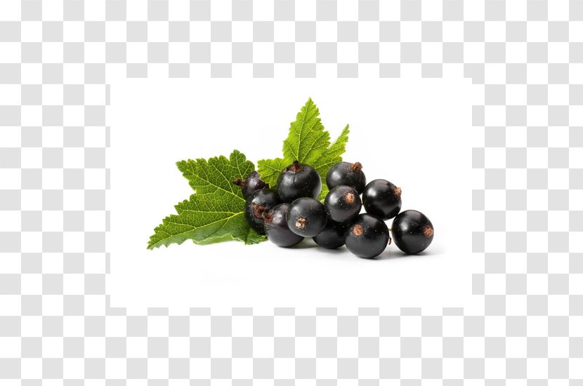Blackcurrant Redcurrant Berry Flavor Stock Photography - Grape Seed Extract - Gooseberry Transparent PNG