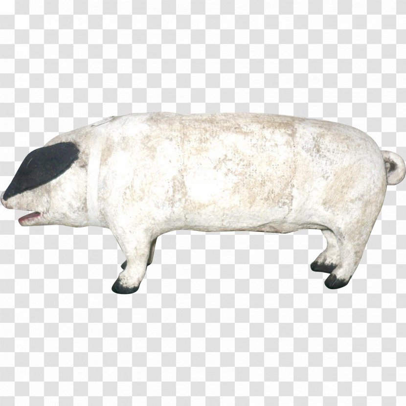 Domestic Pig Cattle Snout - Like Mammal Transparent PNG