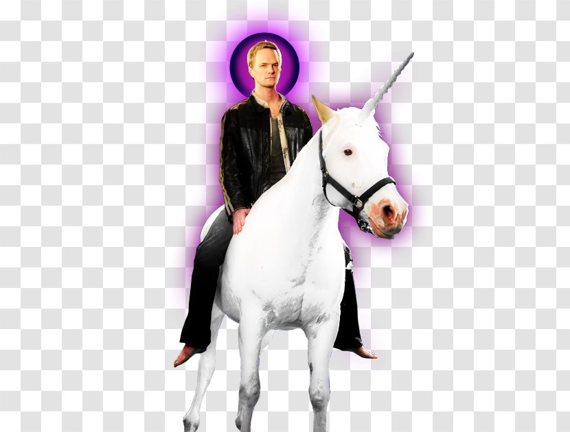 Horse Harold & Kumar - Neck Transparent PNG