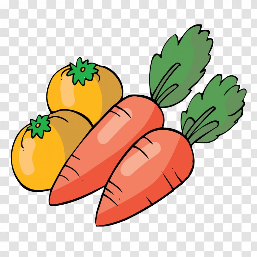 Vegetable Carrot Fruit Image Vector Graphics - Cuisine - Denied Transparent PNG