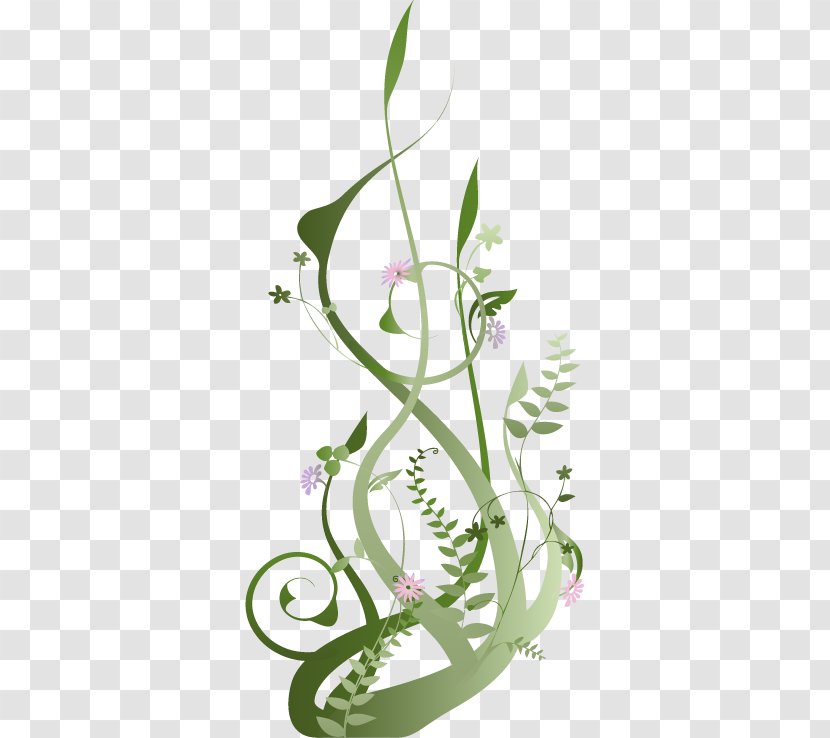 Vine - Flora - Grass Transparent PNG