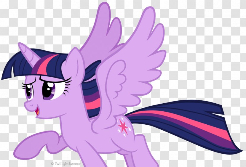 Twilight Sparkle Pony Princess Cadance DeviantArt - Silhouette Transparent PNG