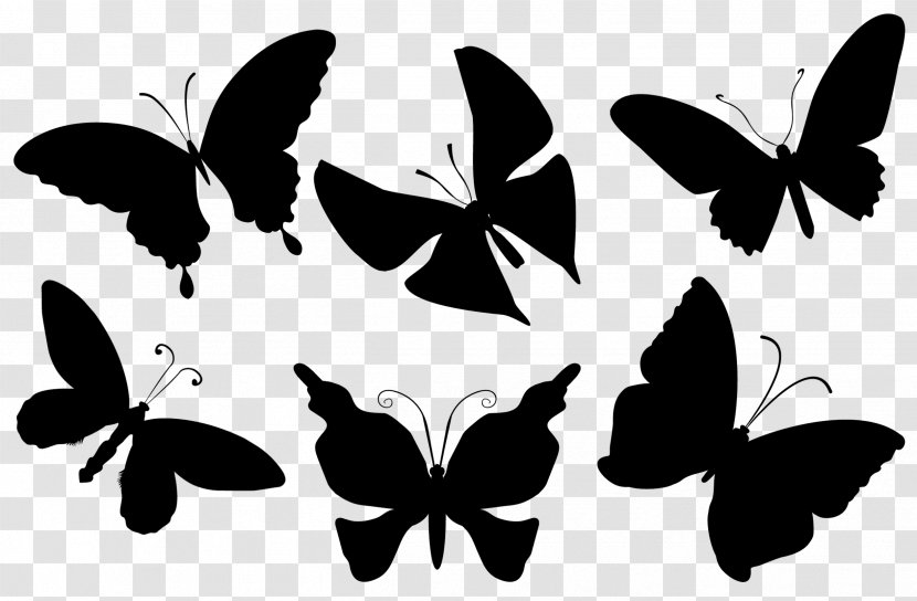 Monarch Butterfly Brush-footed Butterflies Insect Clip Art Pattern - Monochrome Photography Transparent PNG