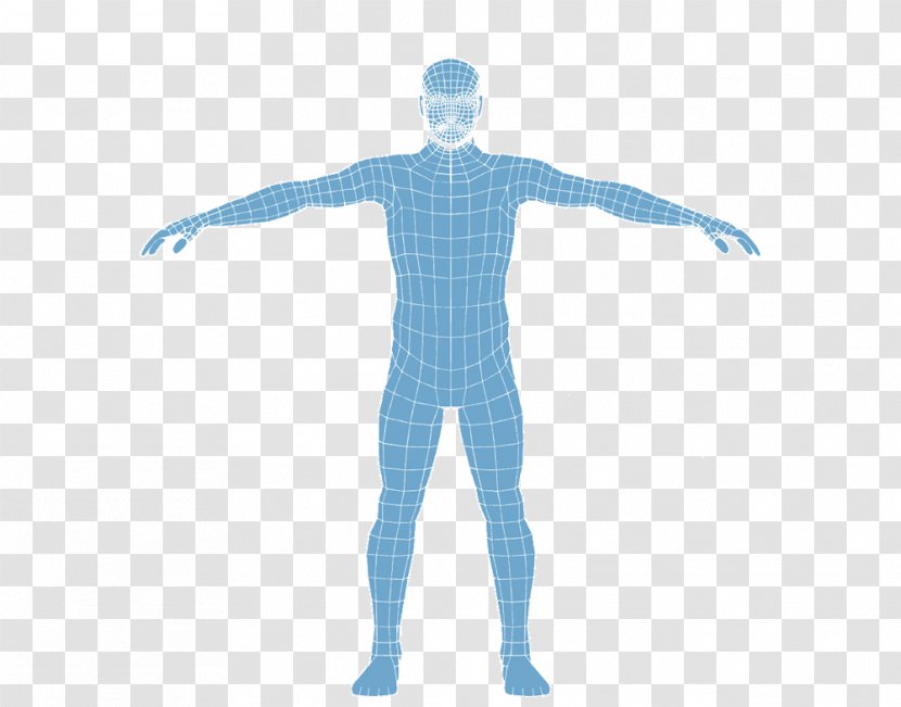 Shoulder Homo Sapiens Wetsuit Neck Muscle - Flower - Fisioterapia Transparent PNG