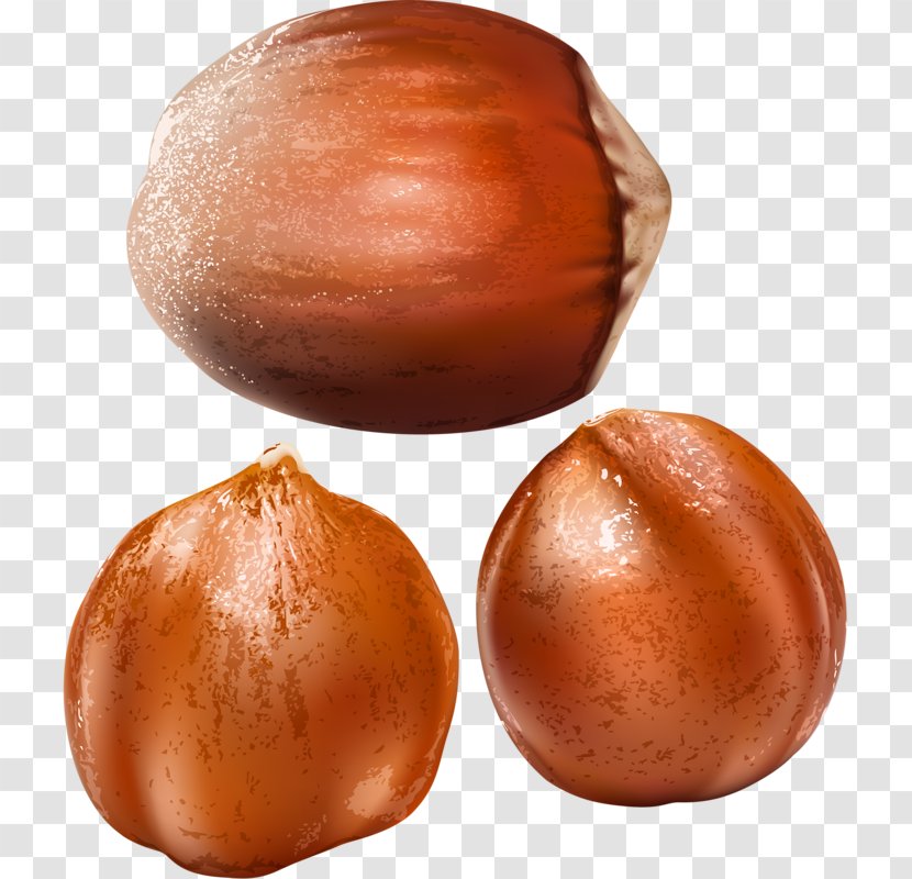 Chinese Chestnut Sweet - Nut Transparent PNG