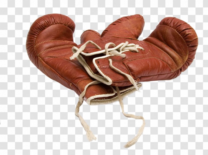 Professional Boxing Boxer Glove Heavyweight Transparent PNG