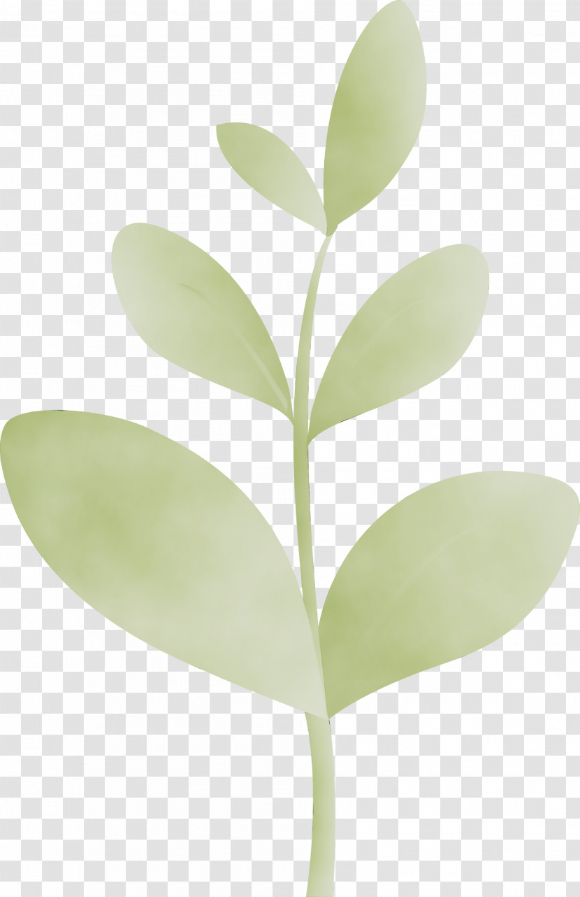 Leaf Green Plant Flower Tree Transparent PNG