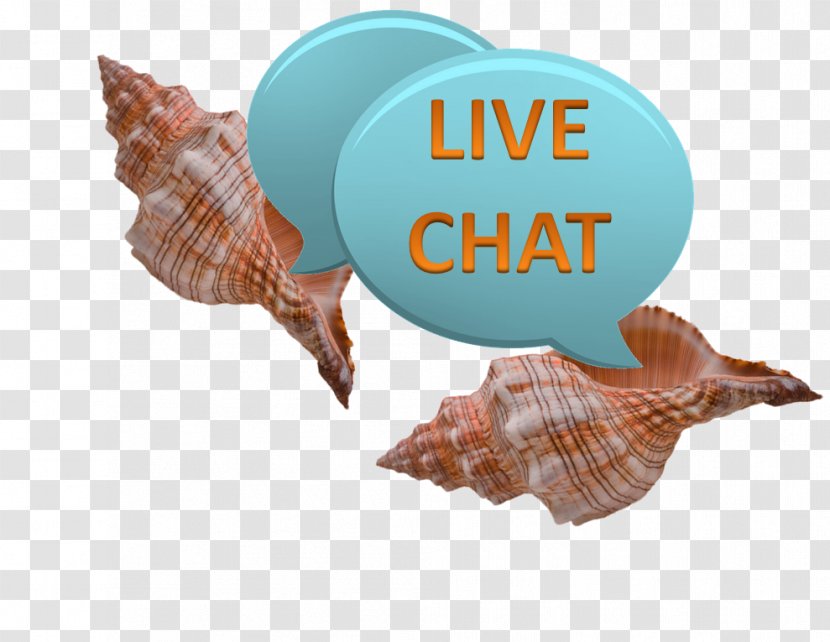 The Tuscany On Grace Bay Online Chat LiveChat Resort Suite - Organism Transparent PNG