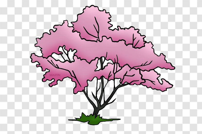 Flowering Dogwood Virginia State Tree Clip Art - Branch - Pink Transparent PNG