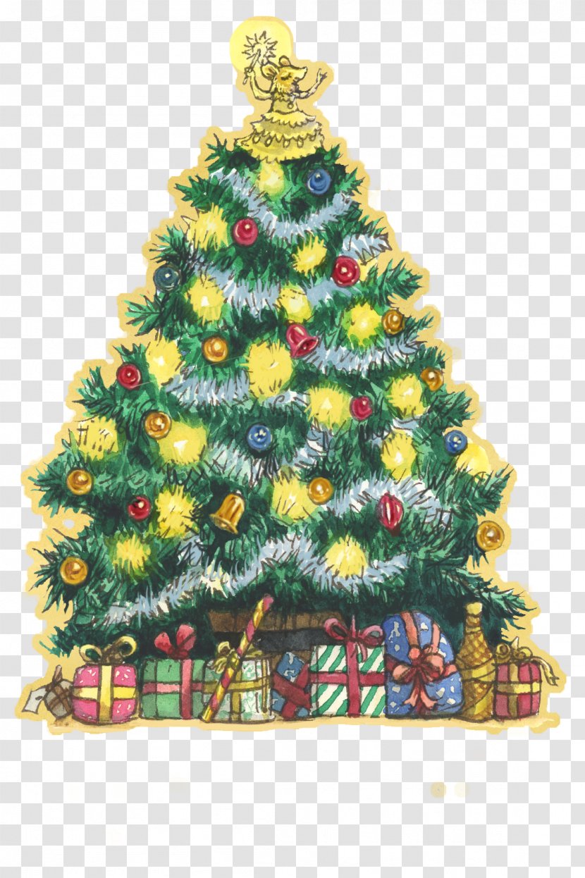 Christmas Tree Ornament Spruce Fir Pine - Evergreen Transparent PNG