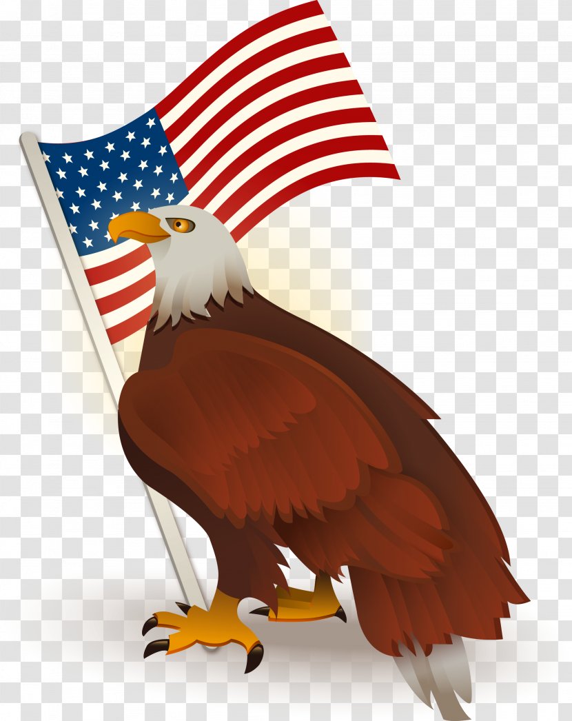 Bald Eagle Flag Of The United States Clip Art - Hawk - American Transparent PNG