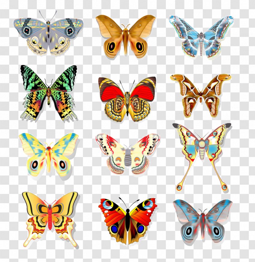 Butterfly Stock Photography Illustration - Invertebrate - Colored Pattern Vector Transparent PNG