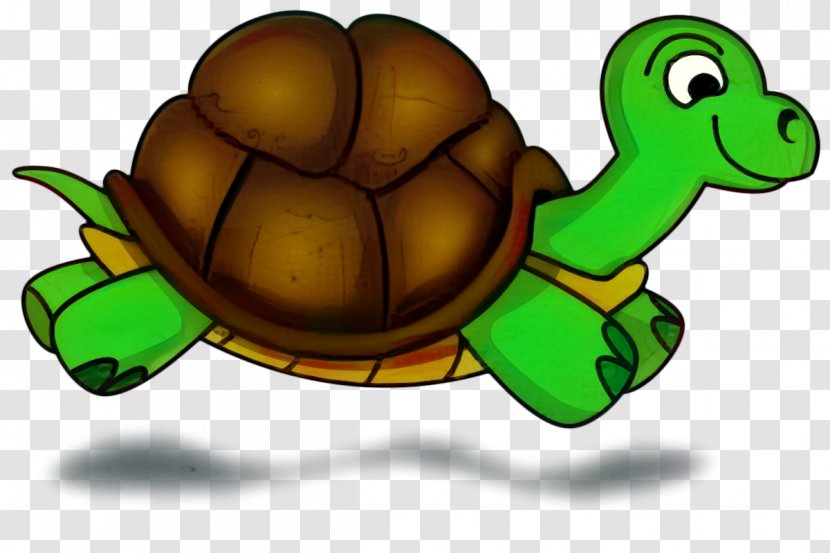 Turtle The Tortoise And Hare Sweatshirt Reptile - Box Transparent PNG