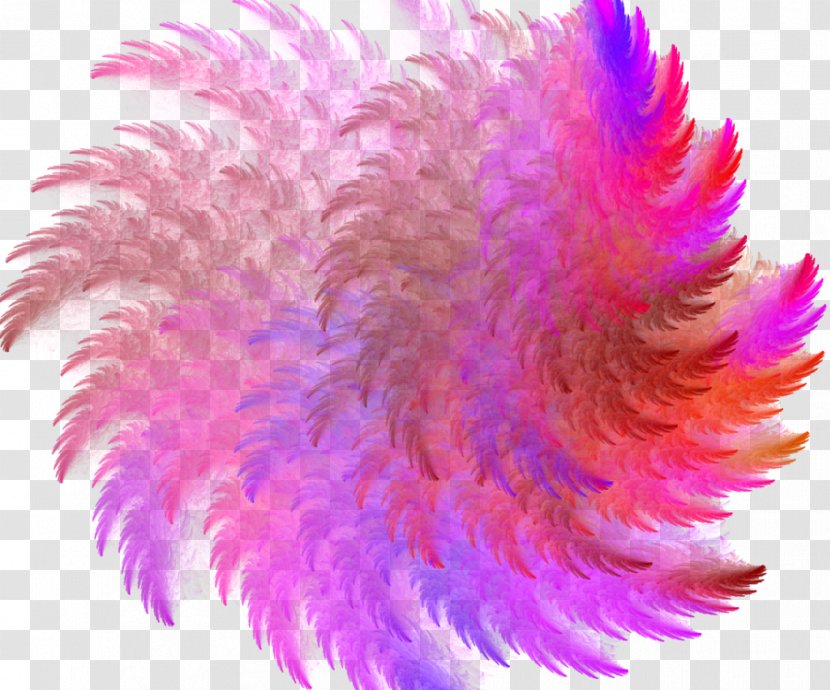 Feather Close-up Pink M Transparent PNG