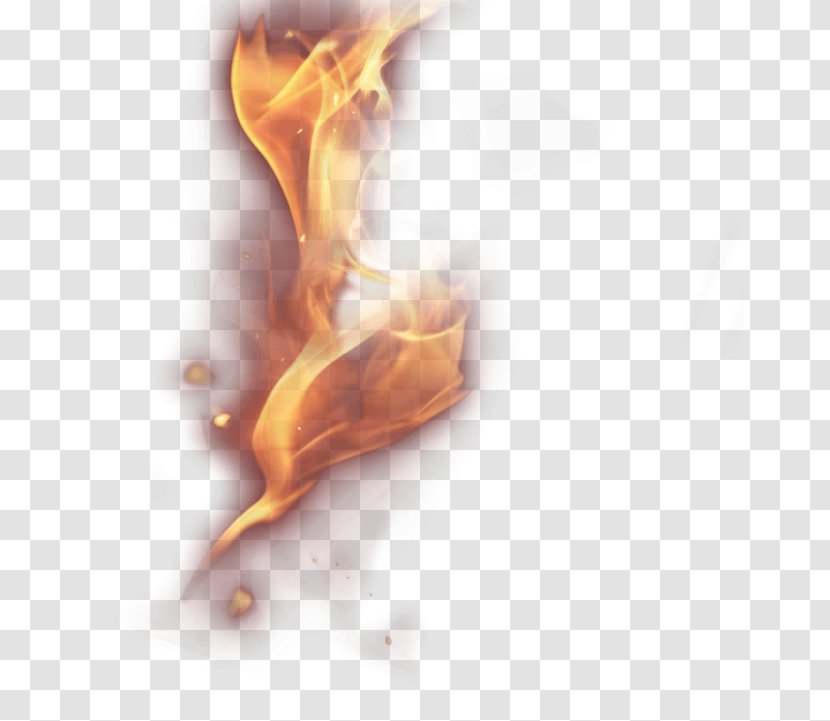 Fire Euclidean Vector Flame - Ear Transparent PNG