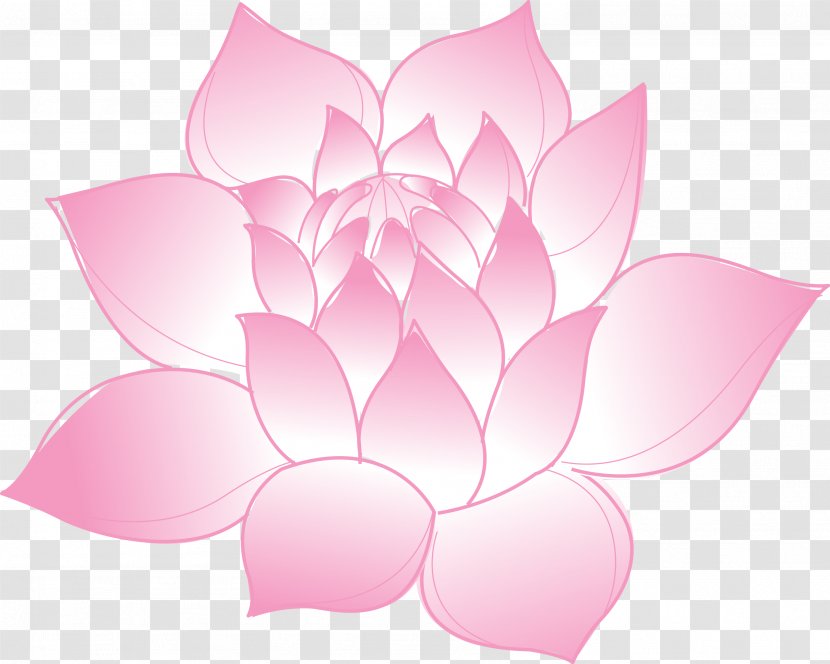 Nelumbo Nucifera - Lotus Vector Transparent PNG