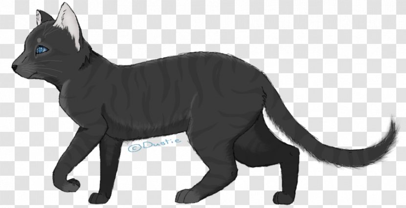 Whiskers Cat Drawing Crowfeather - Black Transparent PNG
