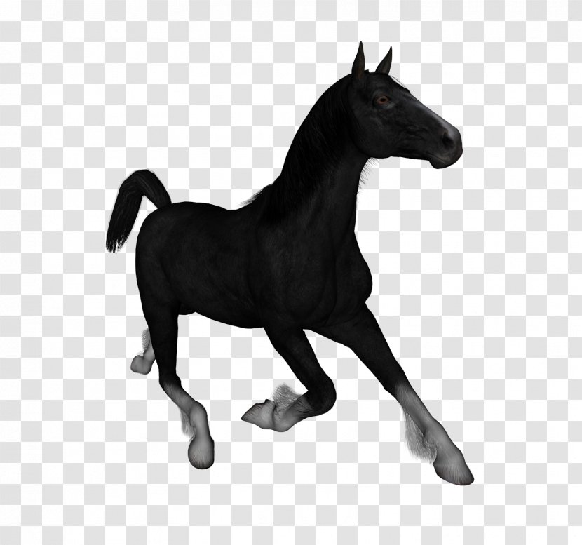 Mustang Stallion Foal Mare Clip Art - Colt - Headless Horseman Transparent PNG