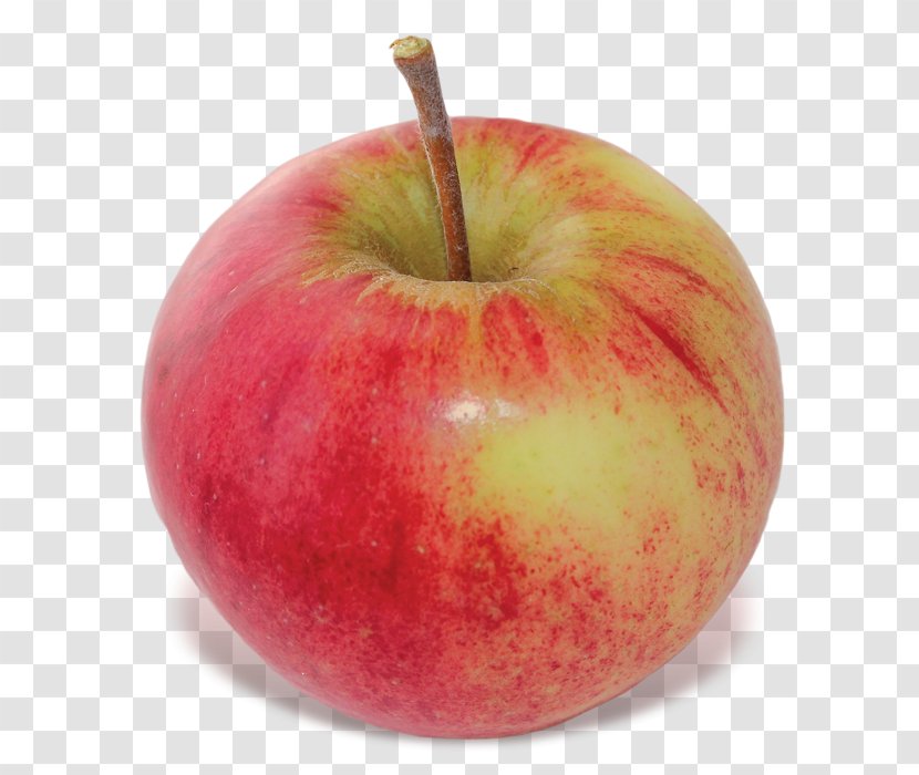 New England Tart Apple Food McIntosh - Diet - TART Transparent PNG
