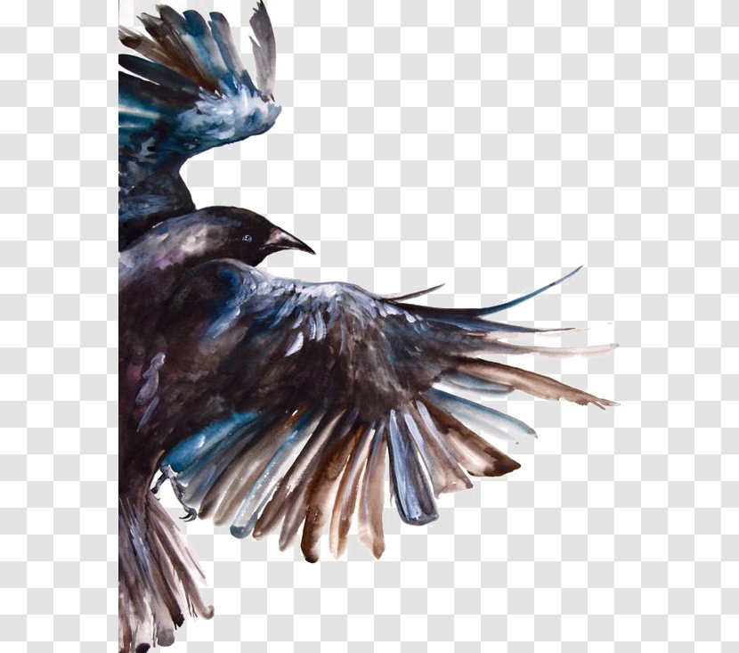 Common Raven Bird Watercolor Painting Flight - Crow Transparent PNG