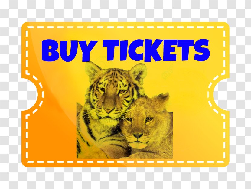 Lion Tiger Dade City's Wild Things Christmas Gift - Birthday Transparent PNG