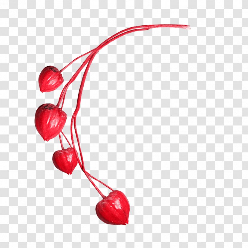 Cherry Food Fruit - *2* Transparent PNG