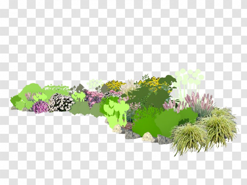 Tree Shrub Herb Aquarium - Grass Transparent PNG