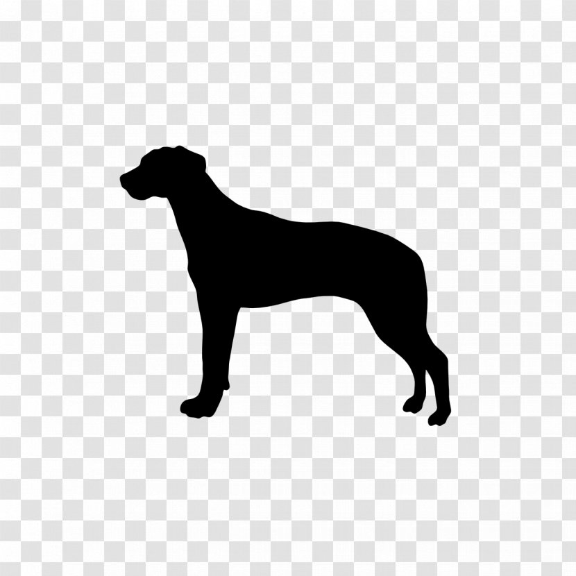 Australian Shepherd Labrador Retriever Dobermann German Dog Breed - Chow - Rhodesian Ridgeback Transparent PNG