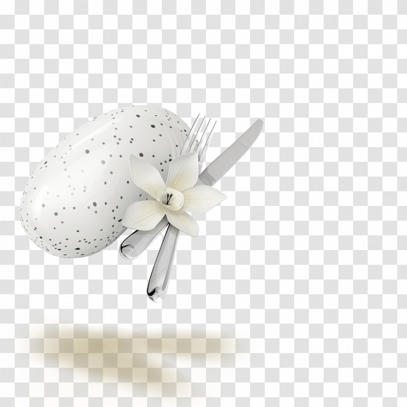 Hair Clothing Accessories - Design Transparent PNG