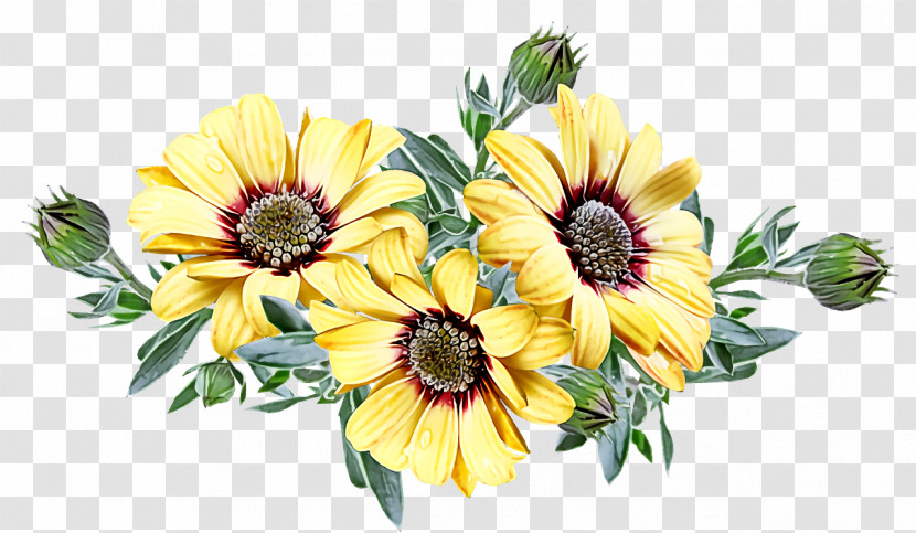 Floral Design Transparent PNG