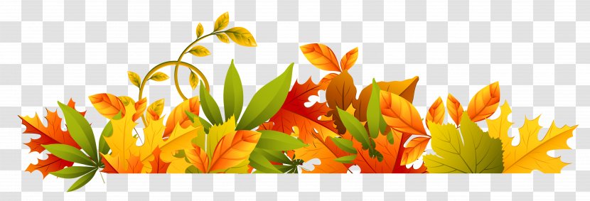 Autumn Clip Art - Orange - Thanksgiving Border Cliparts Transparent PNG