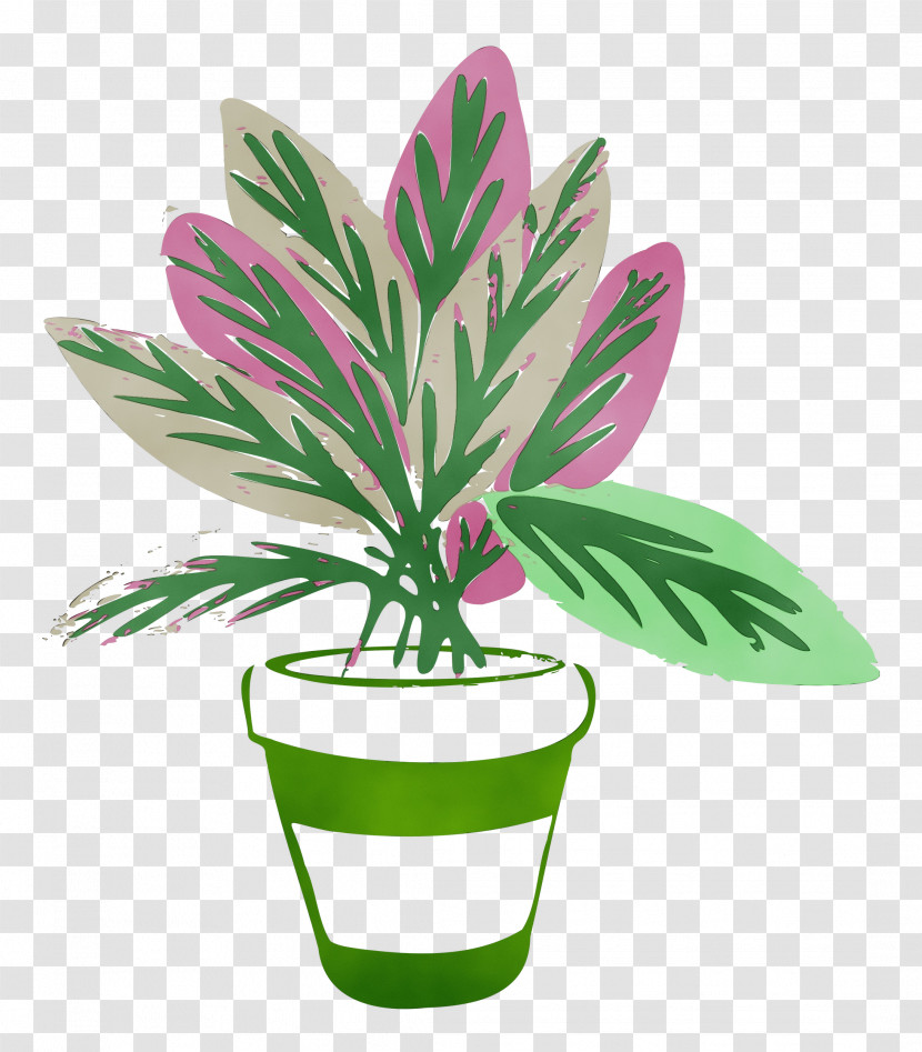 Leaf Flower Flowerpot Plant Biology Transparent PNG