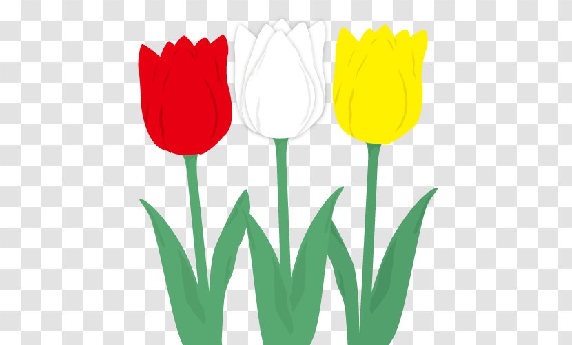 Tulip Desktop Wallpaper Computer Clip Art - Plant Stem Transparent PNG