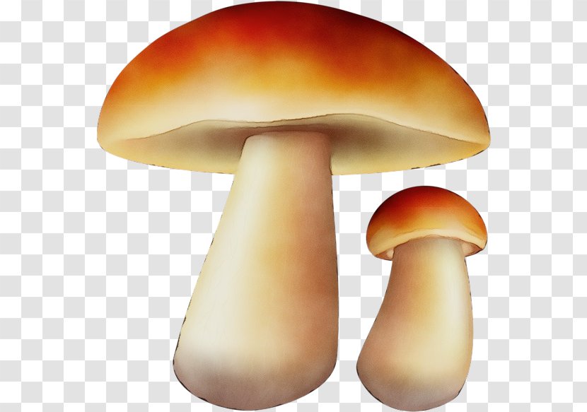 Mushroom Edible Agaricomycetes Penny Bun Fungus - Agaricus - Russula Integra Transparent PNG