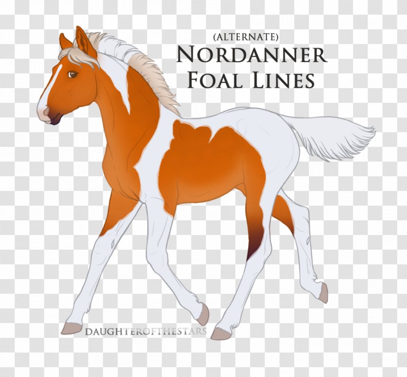 Mustang Foal Stallion Pony Mare - Bridle Transparent PNG