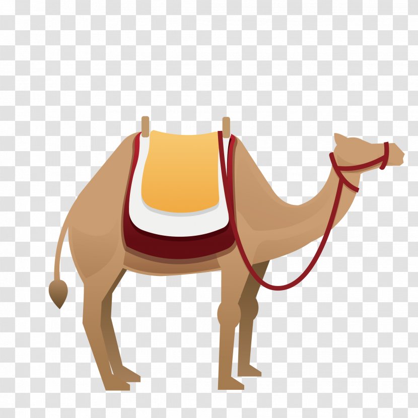 Camel Vector Graphics Clip Art Illustration Image - Livestock - Saddle Transparent PNG
