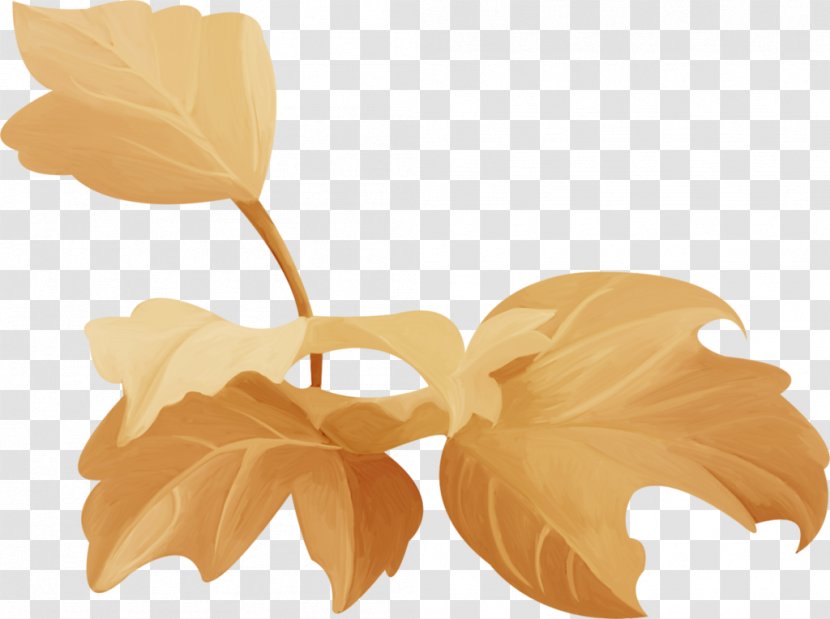 Paper Petal Leaf - Feuilles Transparent PNG