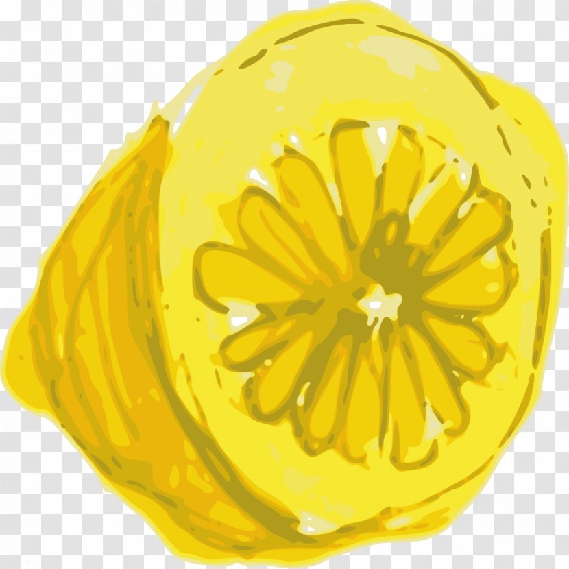 Lemon Citron Clip Art - Winter Squash - Lemons Transparent PNG