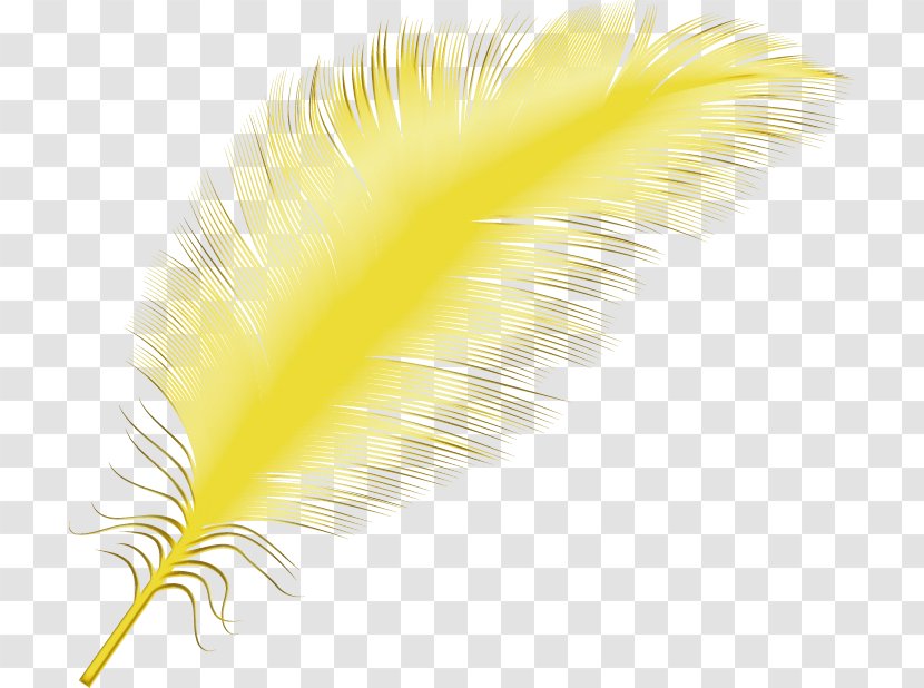 Feather - Writing Implement - Fashion Accessory Wing Transparent PNG