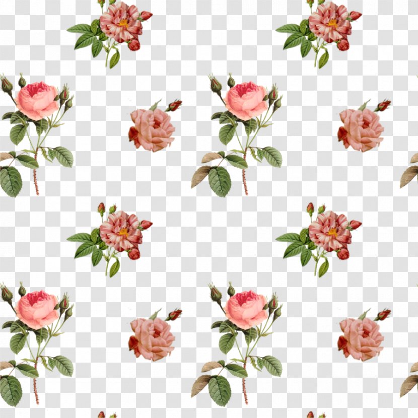 Flower Garden Roses Clip Art - Information - Vintage Transparent PNG