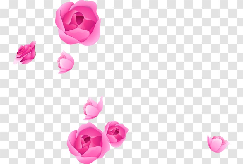 Rose Clip Art Image Adobe Photoshop - Family - Flower Border Transparent PNG