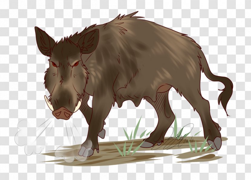 Pig Cattle Snout Wildlife Mammal - Wild Boar Transparent PNG